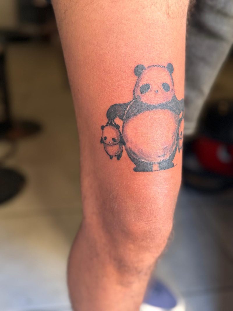 Black and grey panda holding a baby panda by the scruff, on a thigh